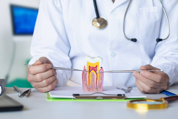 Best Emergency Dentist for Lost Fillings or Crowns in Dixon, CA